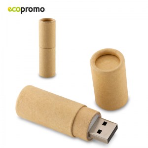 Memoria USB ECO  US-41